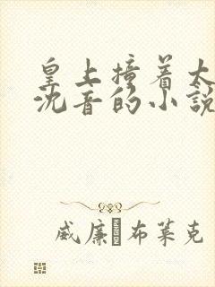 皇上撞着太子妃沈音的小说叫什么