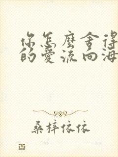 你怎么舍得让我的爱流向海