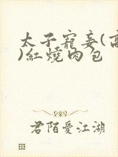 太子宠妾(高肉)红烧肉包