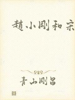 赵小刚和宋雨晴