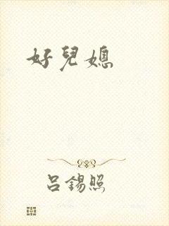 好儿媳