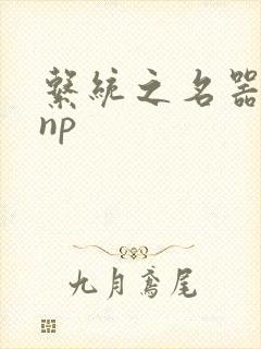 系统之名器攻略np