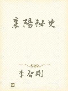 襄阳秘史