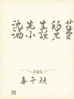 沈先生的花式调酒小说免费阅读