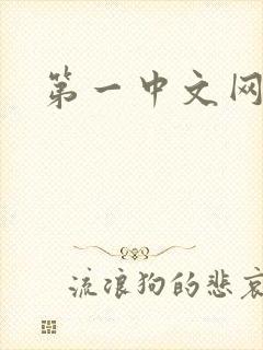 第一中文网