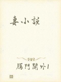 妻小说