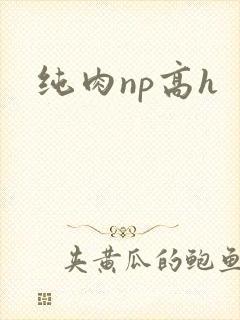 纯肉np高h