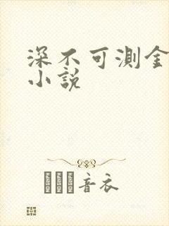 深不可测金银花小说