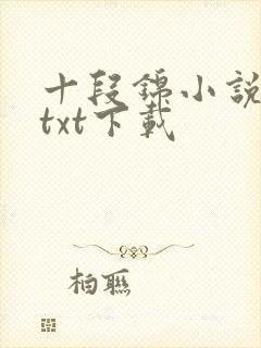 十段锦小说全本txt下载