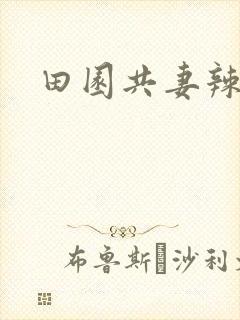 田园共妻辣