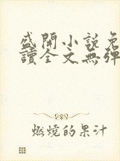 盛开小说免费阅读全文无弹窗