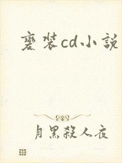 变装cd小说