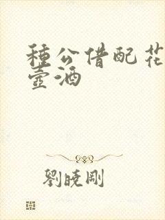 种公借配花间一壶酒