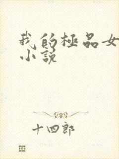 我的极品女老师小说