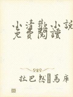 小清欢小说全文免费阅读