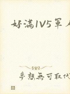 好满1V5军人