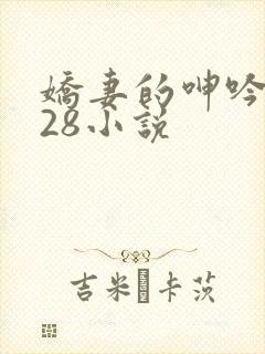 娇妻的呻吟1—28小说