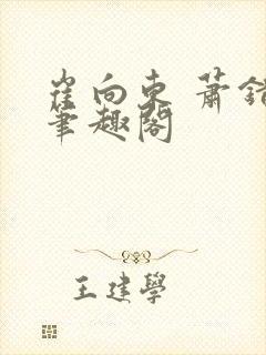 崔向东 萧错 笔趣阁