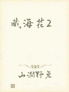 藏海花2