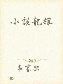 小说龙根
