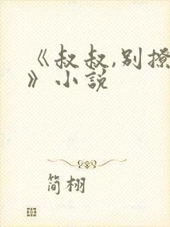 《叔叔,别撩我》小说