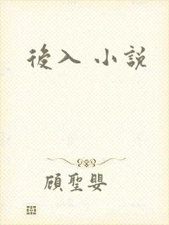 后入 小说
