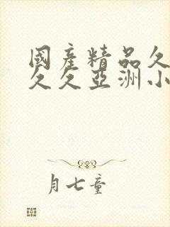 国产精品久久久久久亚洲小说