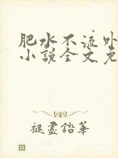 肥水不流外人田小说全文免费阅读1