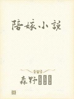 陪嫁小说