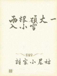 两根硕大一起挤入小雪