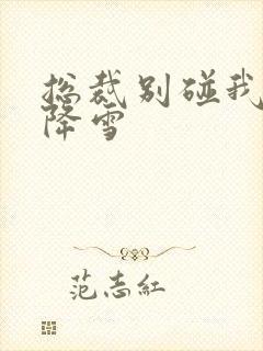 总裁别碰我 韩降雪