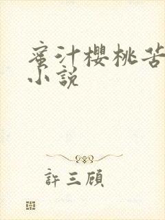 蜜汁樱桃苦咖啡小说