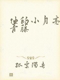 他的小月亮by青藤