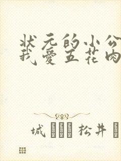 状元的小公主(我爱五花肉)