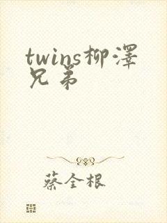 twins柳泽兄弟