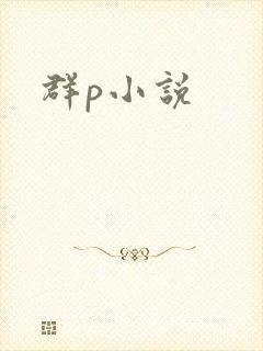 群p小说