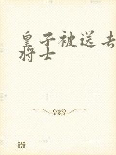 皇子被送去犒劳将士