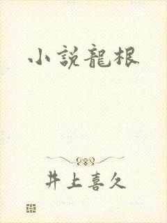 小说龙根