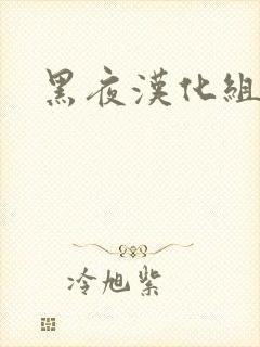 黑夜汉化组