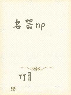 名器np