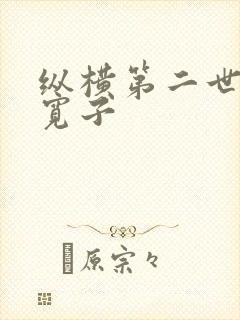 纵横第二世界 宽子