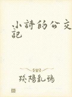 小诗的公交车日记