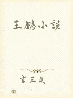 王鹏小说