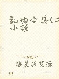 乱肉合集(二)小说