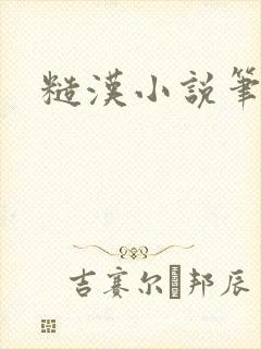 糙汉小说笔趣阁