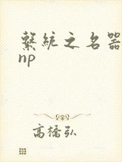 系统之名器攻略np