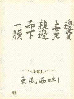 一面亲上边一面膜下边免费阅读