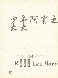 少年阿宾之房东太太