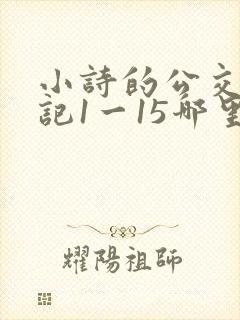 小诗的公交车日记1一15哪里能看
