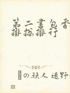 第二书包香辣肉排总排行